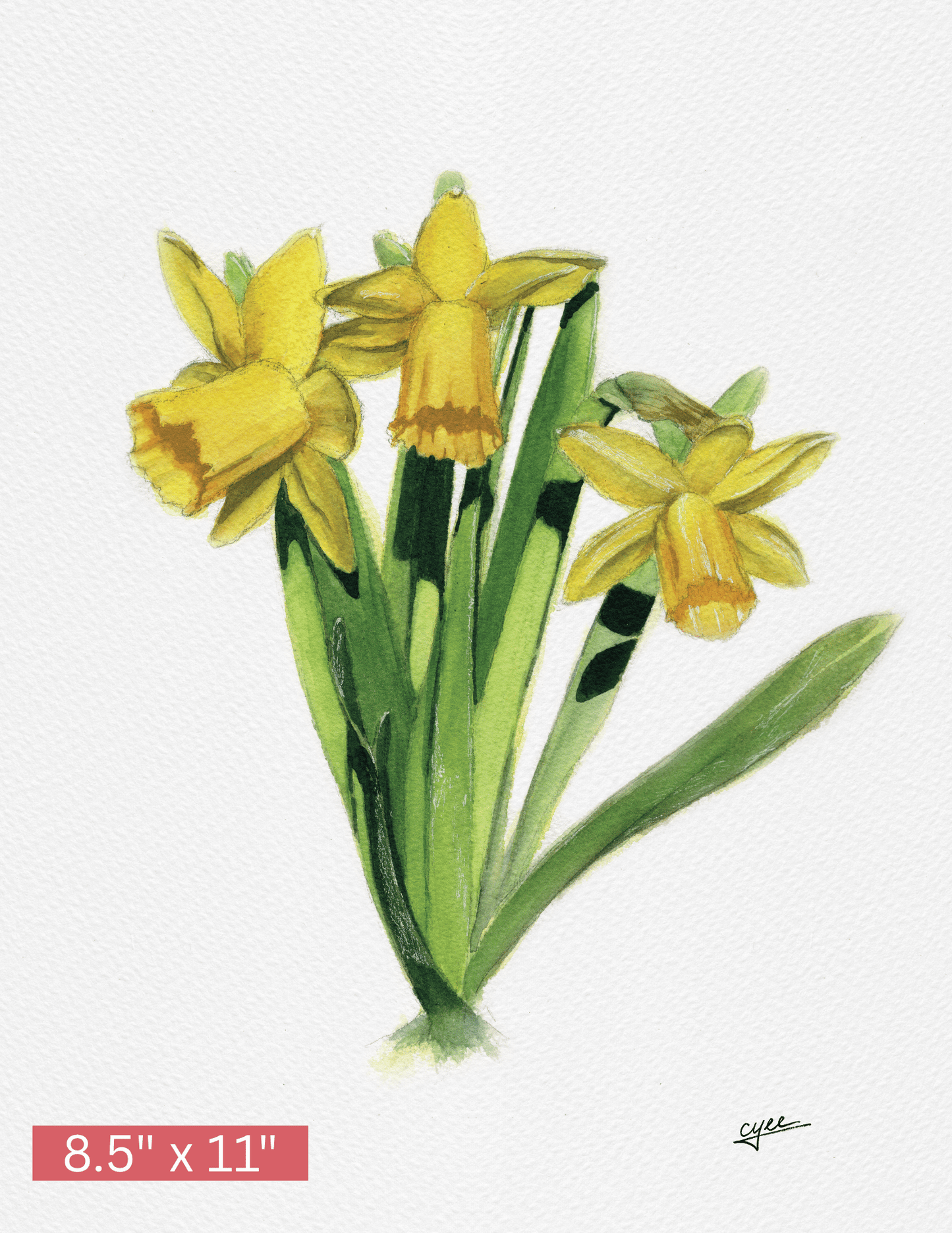 March Flower: Daffodil