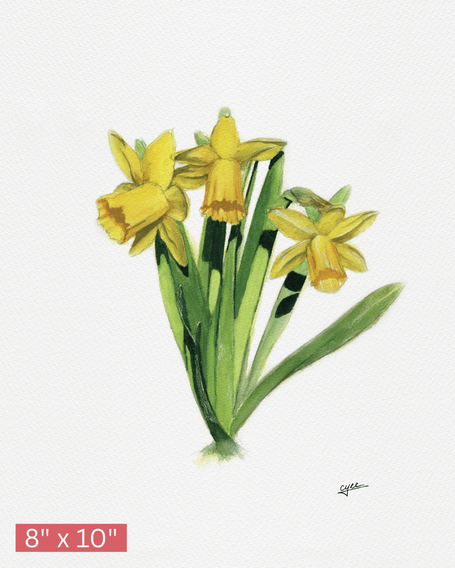 March Flower: Daffodil
