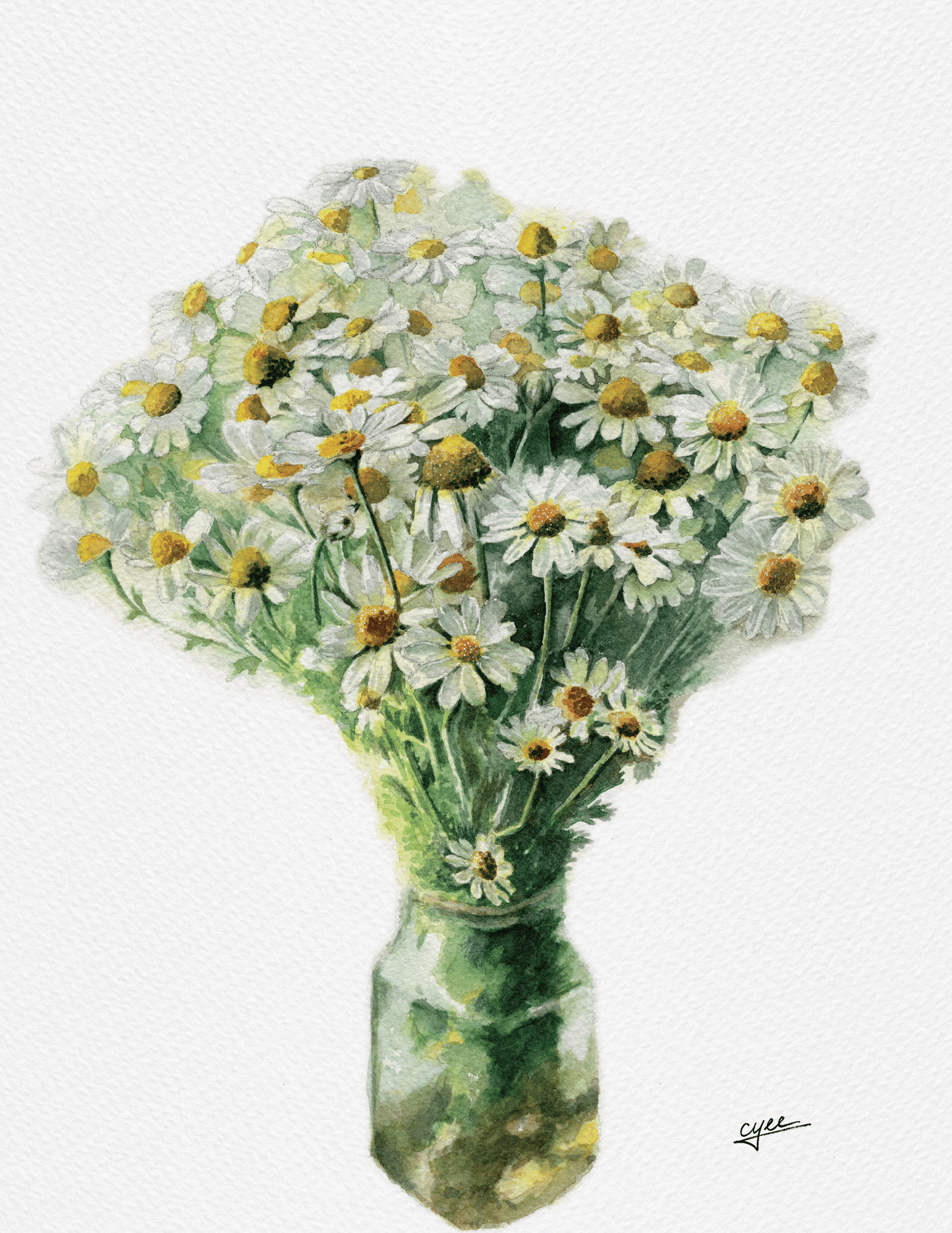 April Flower: Daisy