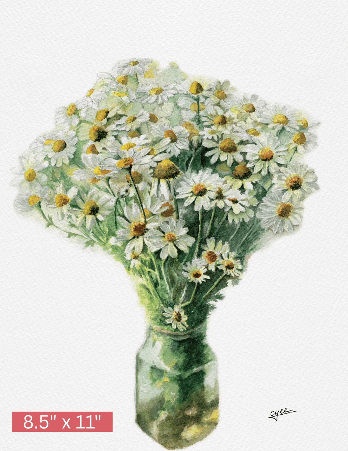April Flower: Daisy