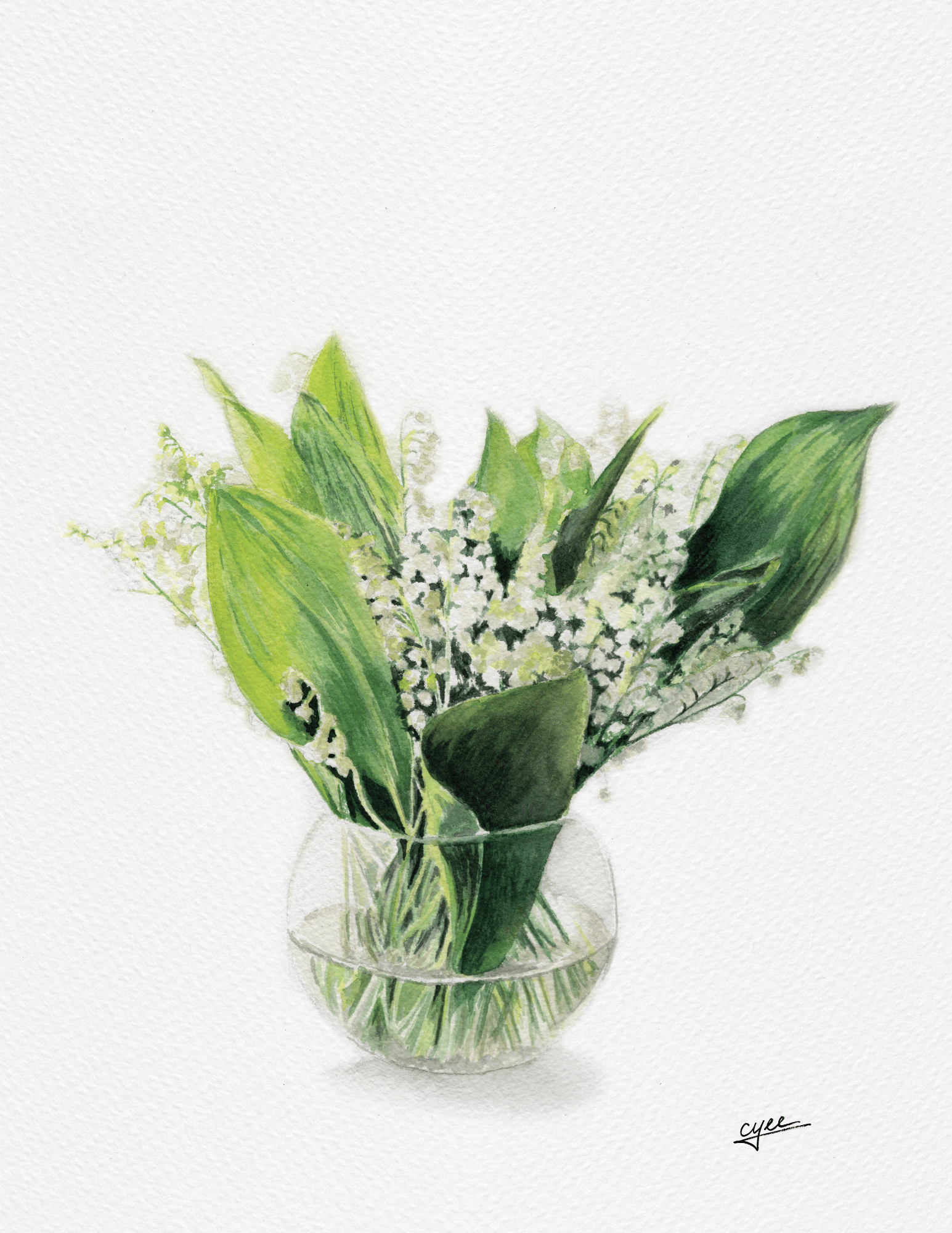 lily of the valley flower for sale May Flower: Lily of the Valley – cyeeart