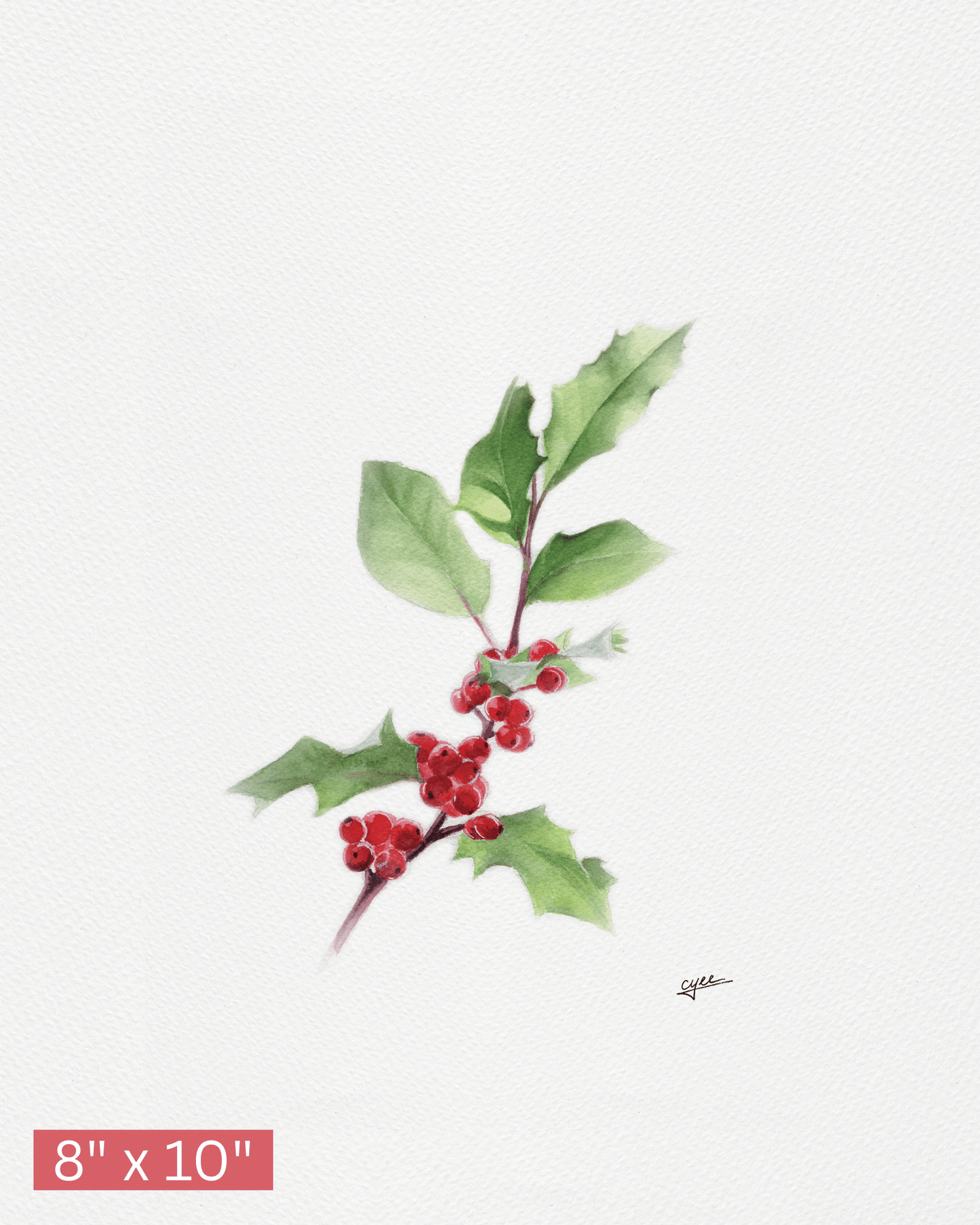 December Flower: Holly