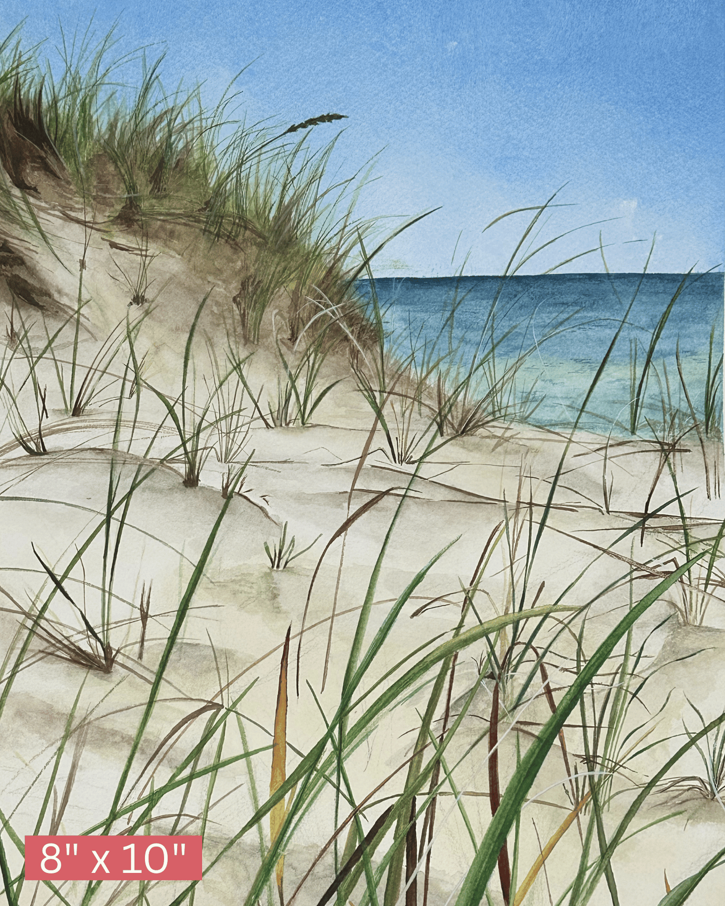 Ocean's Breeze