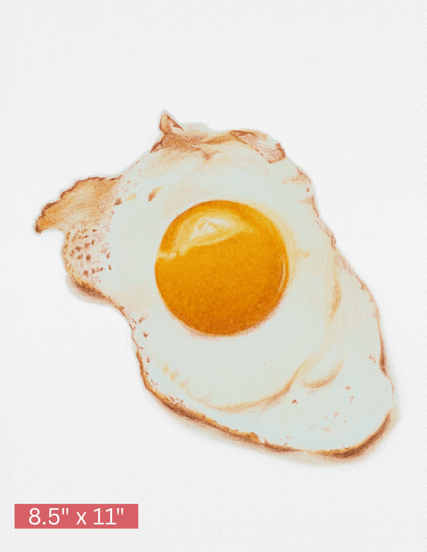 Fried Egg | Hand Illustrated | Art Print