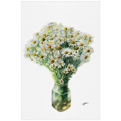 April flower: Daisies