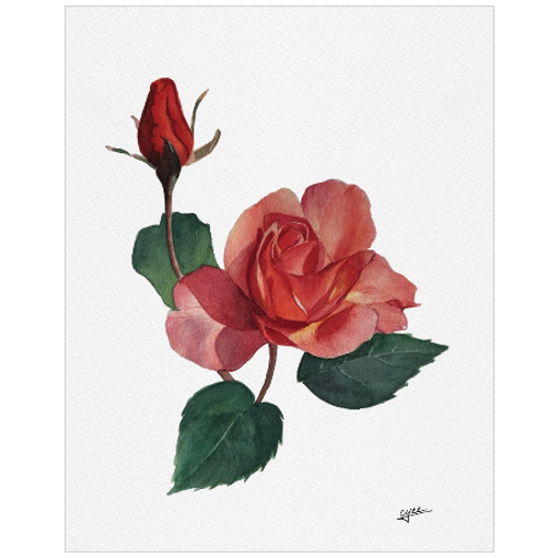 June flower: Roses