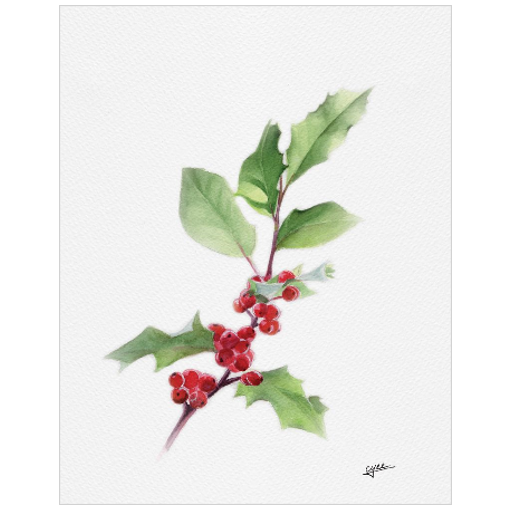 December flower: Hollys
