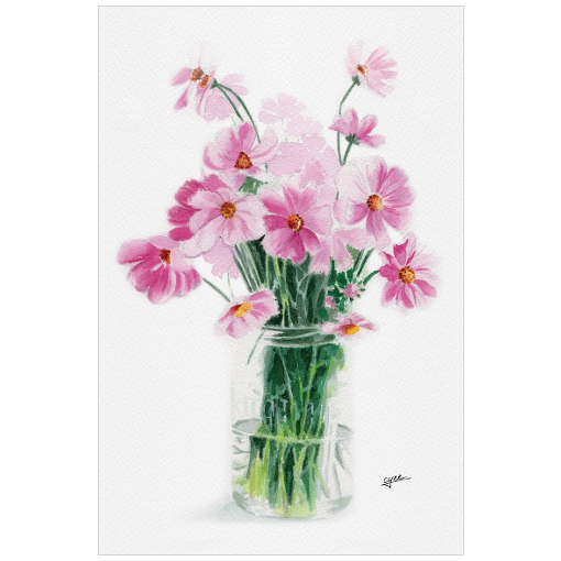 October flower: Cosmos