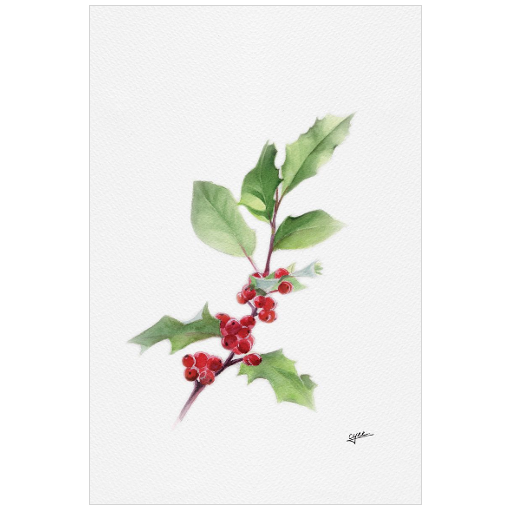 December flower: Hollys