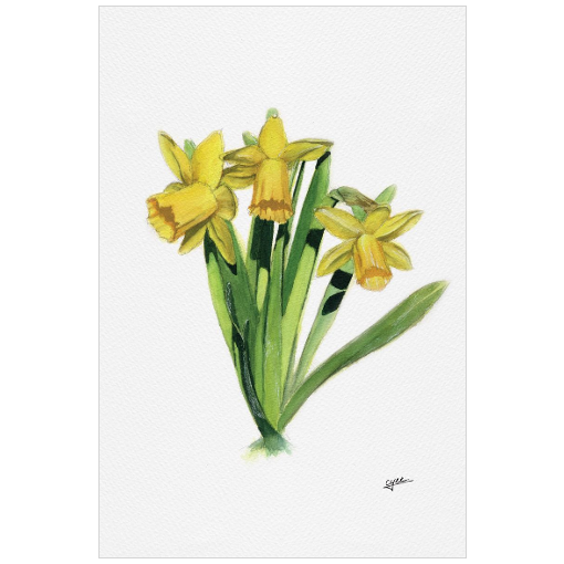March flower: Daffodils