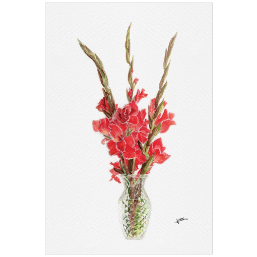 August flower: Gladiolus