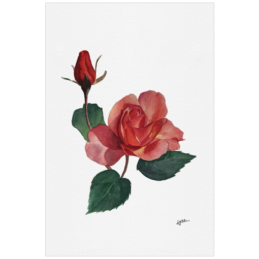 June flower: Roses