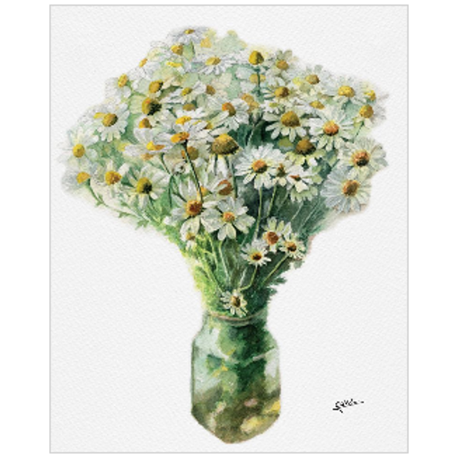 April flower: Daisies