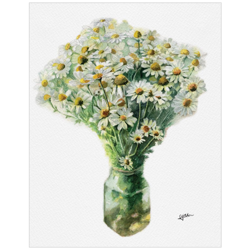 April flower: Daisies