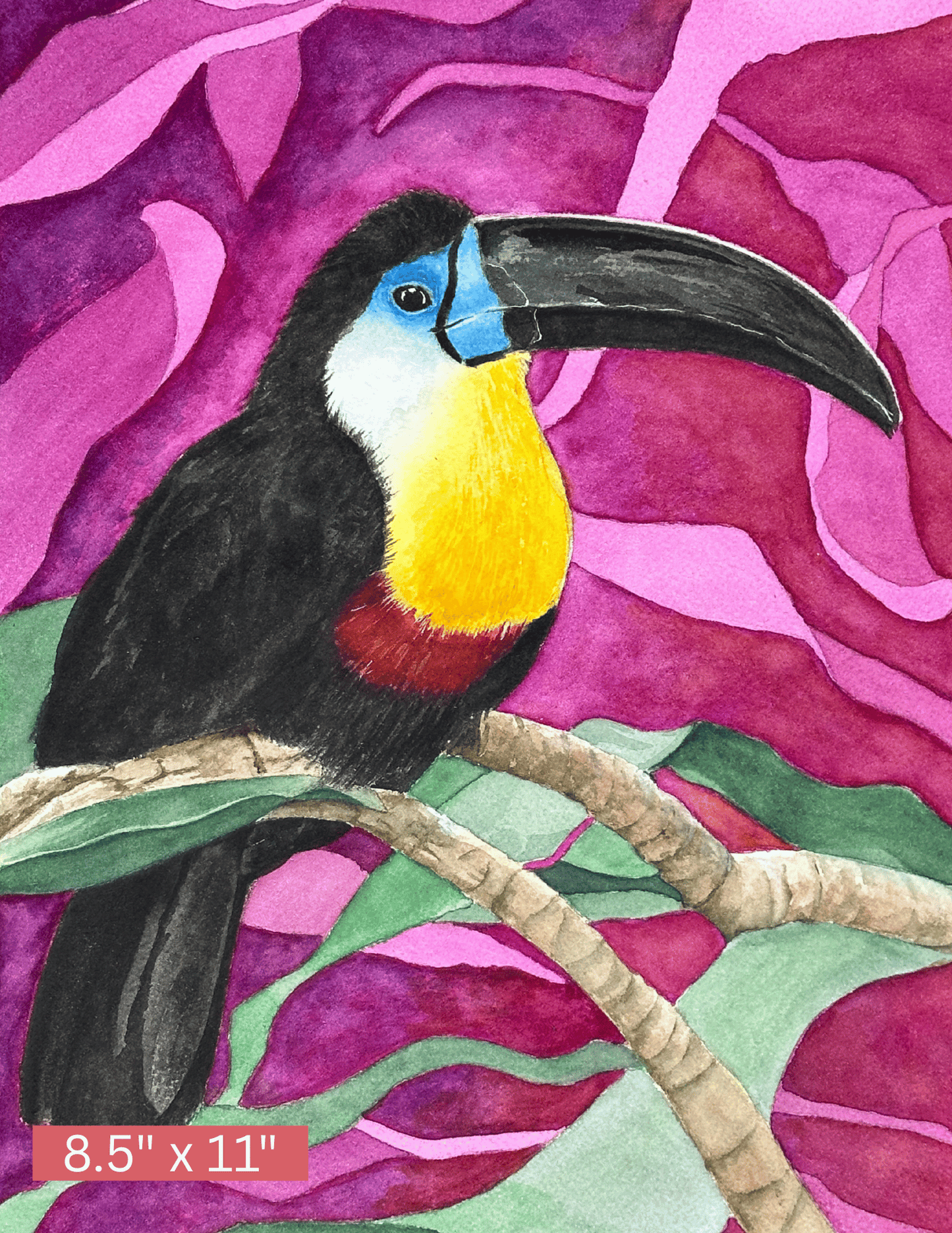 Toucan Art Print