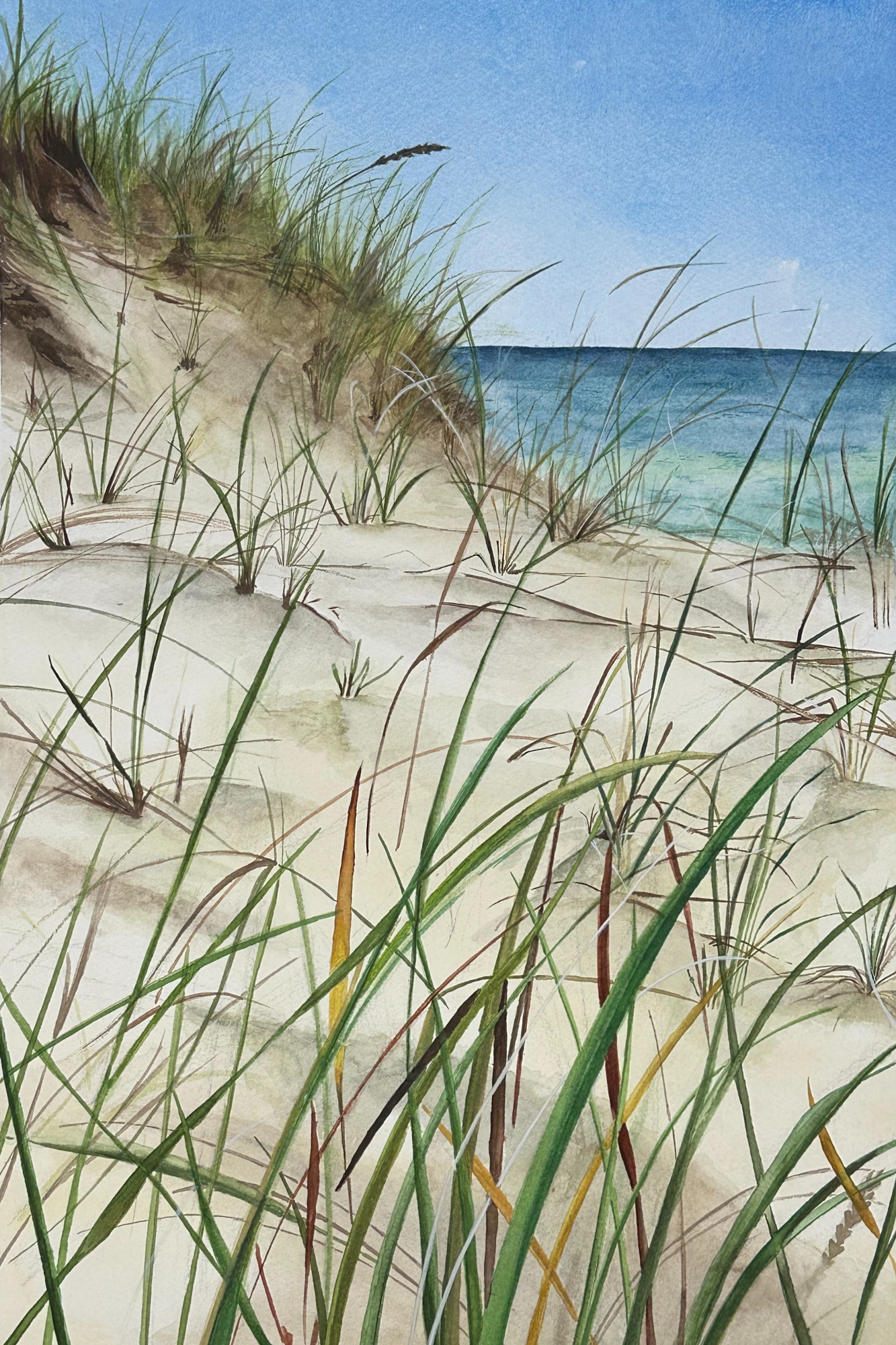Cape Cod Memories