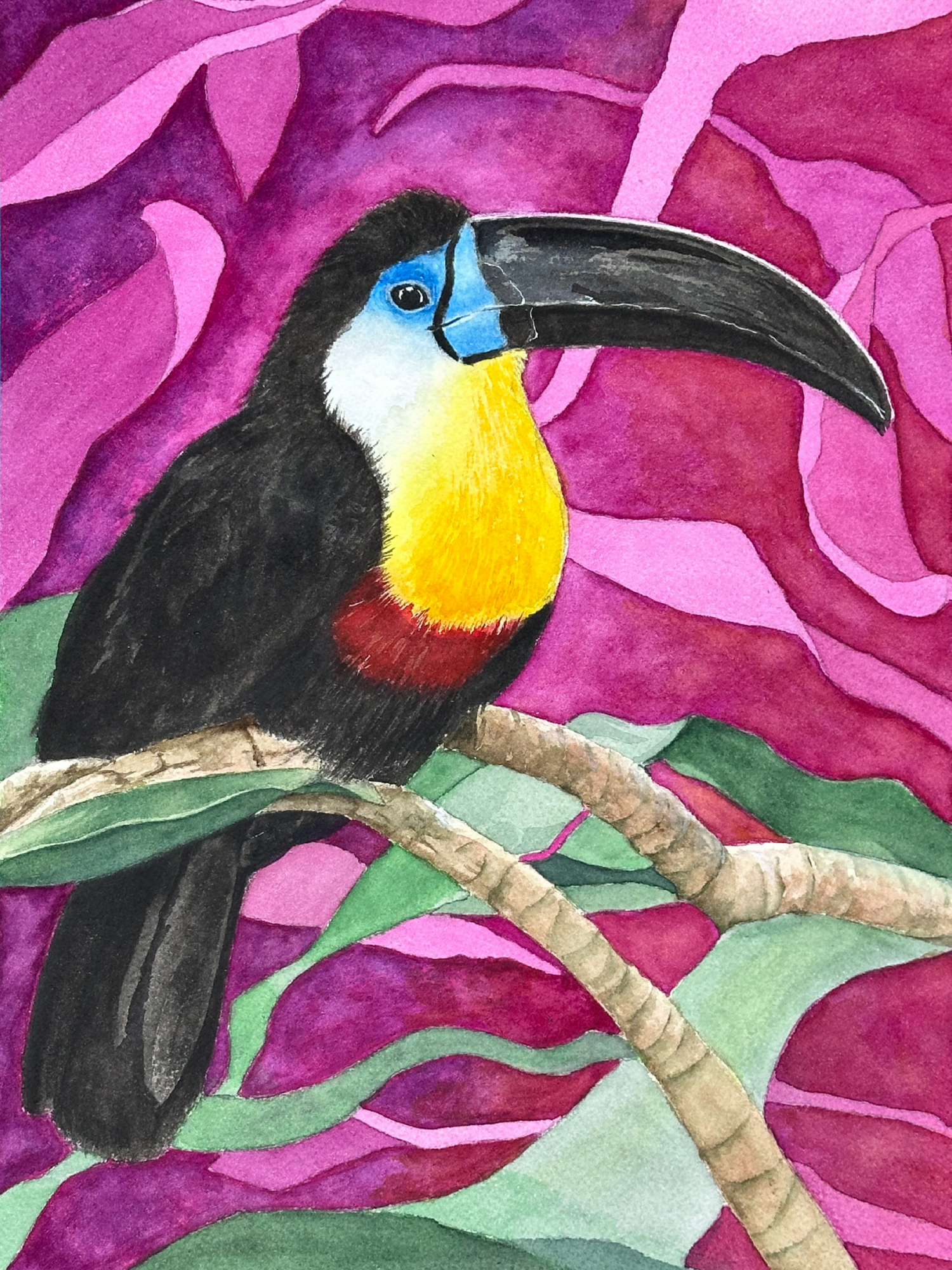 Birds of Paradise