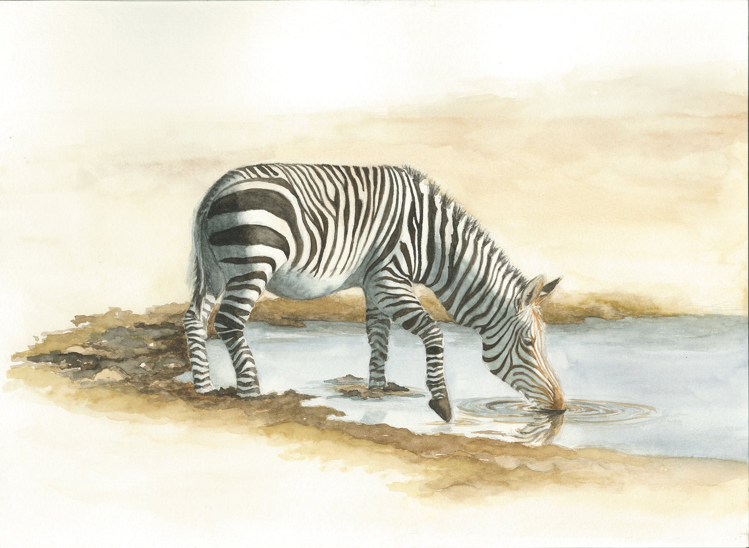 Tales from the Land, Sea and Sky