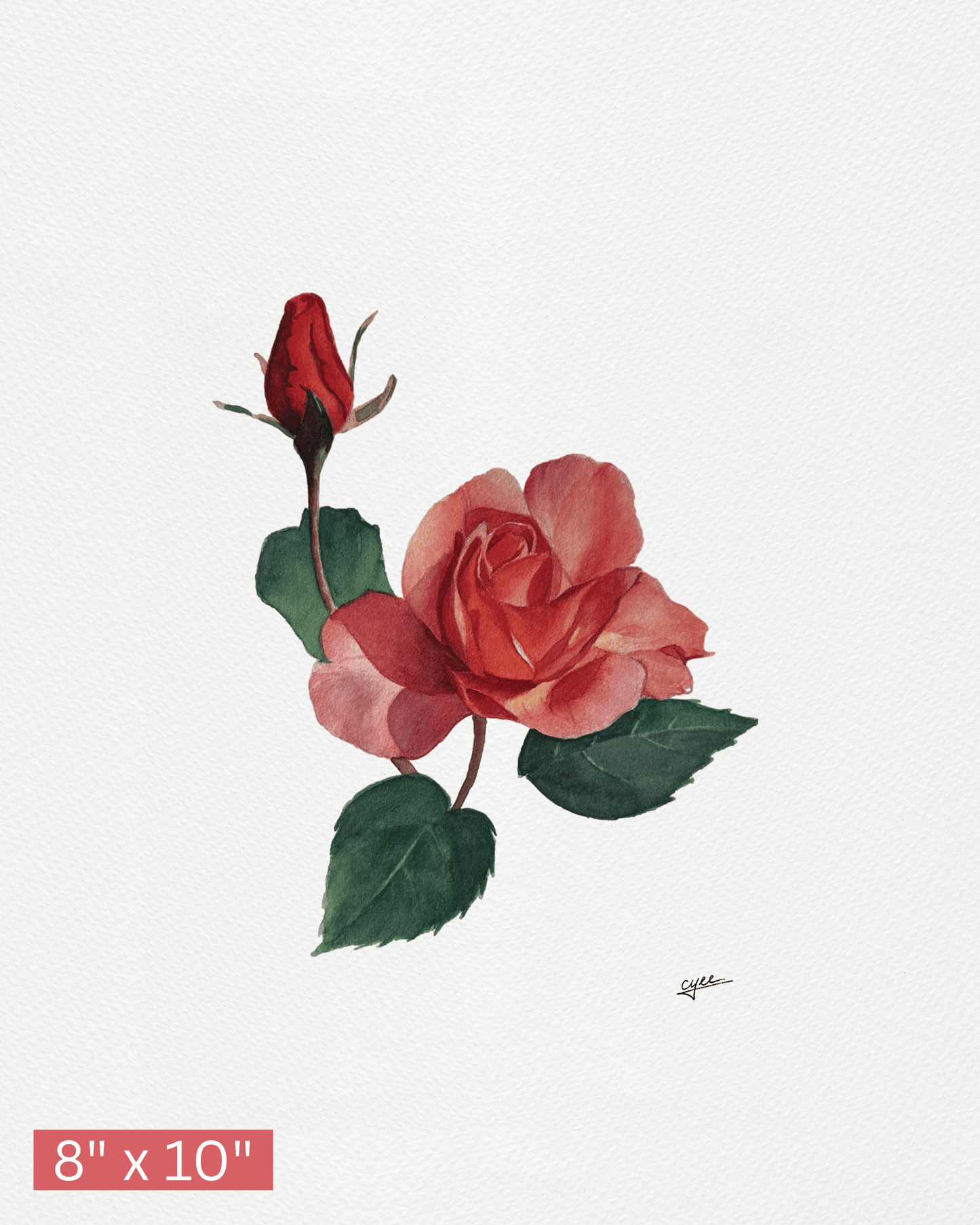 June Flower: Rose