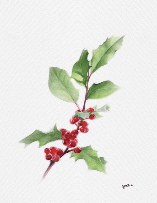 December Flower: Holly