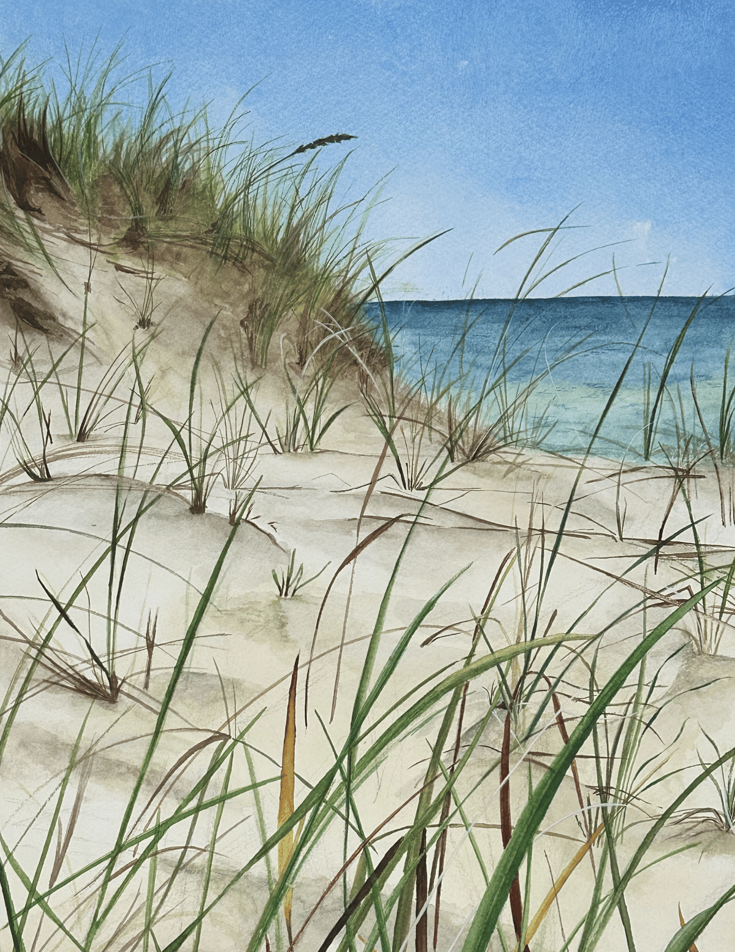 Ocean's Breeze