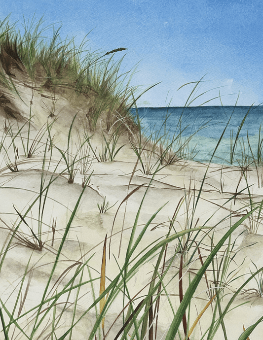 Ocean's Breeze