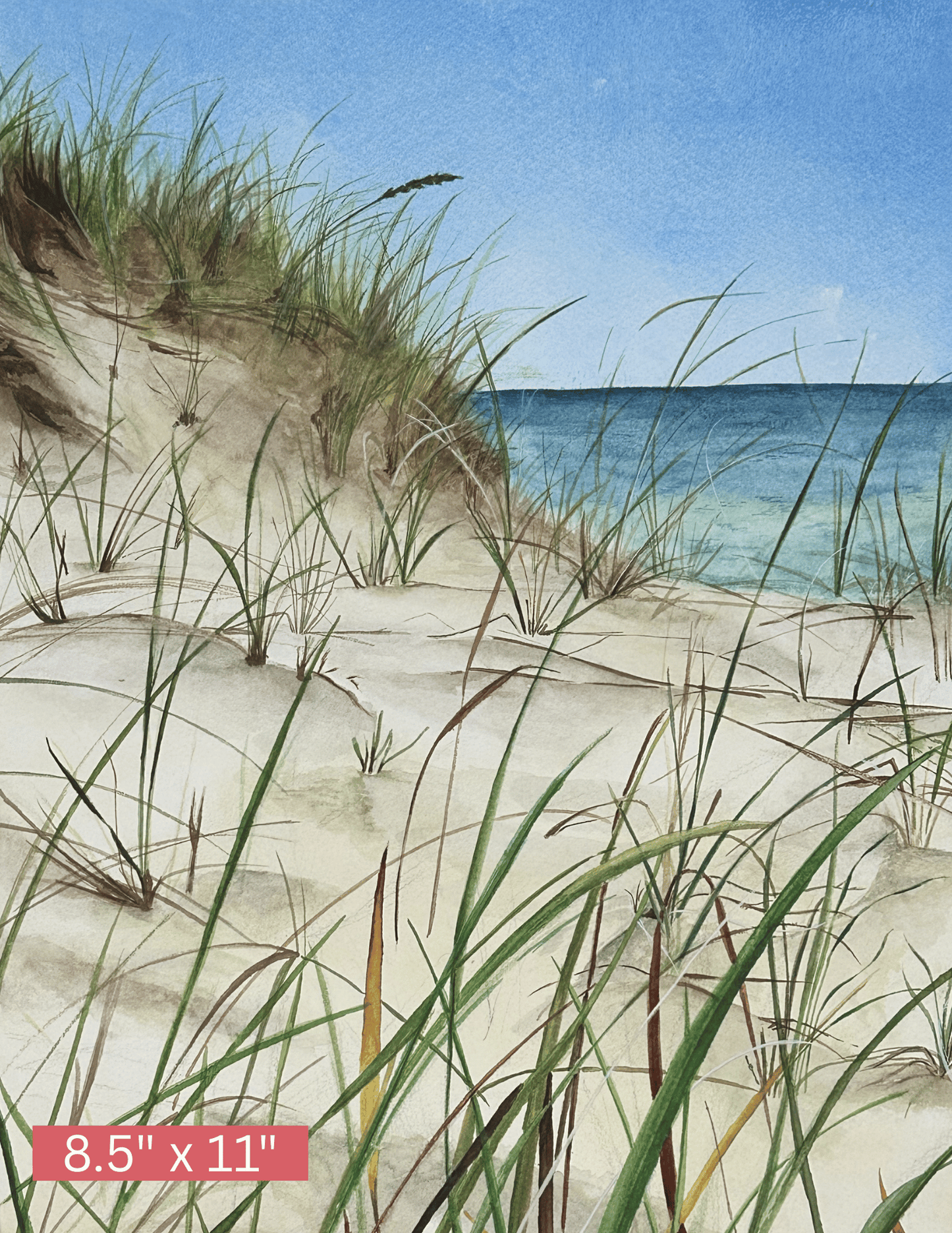 Ocean's Breeze